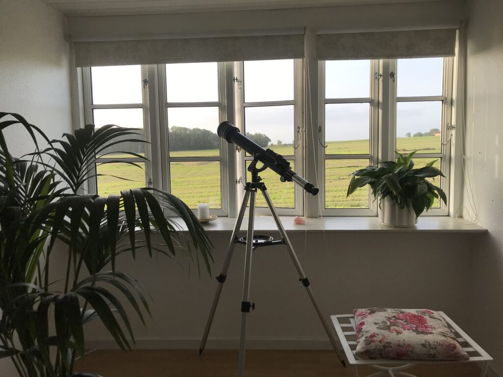 livetstræ og stjernekikkerten. Et godt sted at sove.