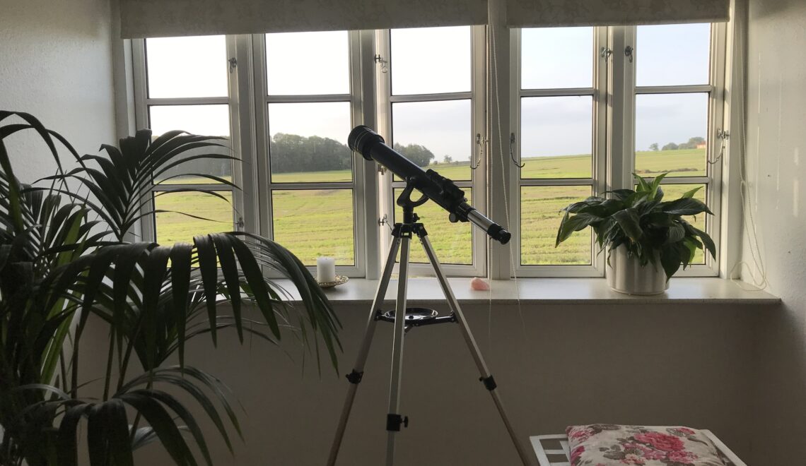 livetstræ og stjernekikkerten. Et godt sted at sove.